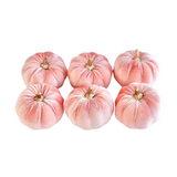 Blush Velvet Pumpkins