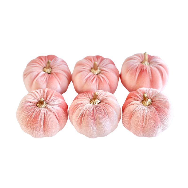 Blush Velvet Pumpkins