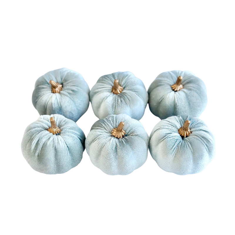 French Oak Velvet Pumpkins