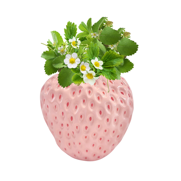 🍓 Pink Strawberry Vase