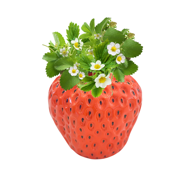🍓 Red Strawberry Vase