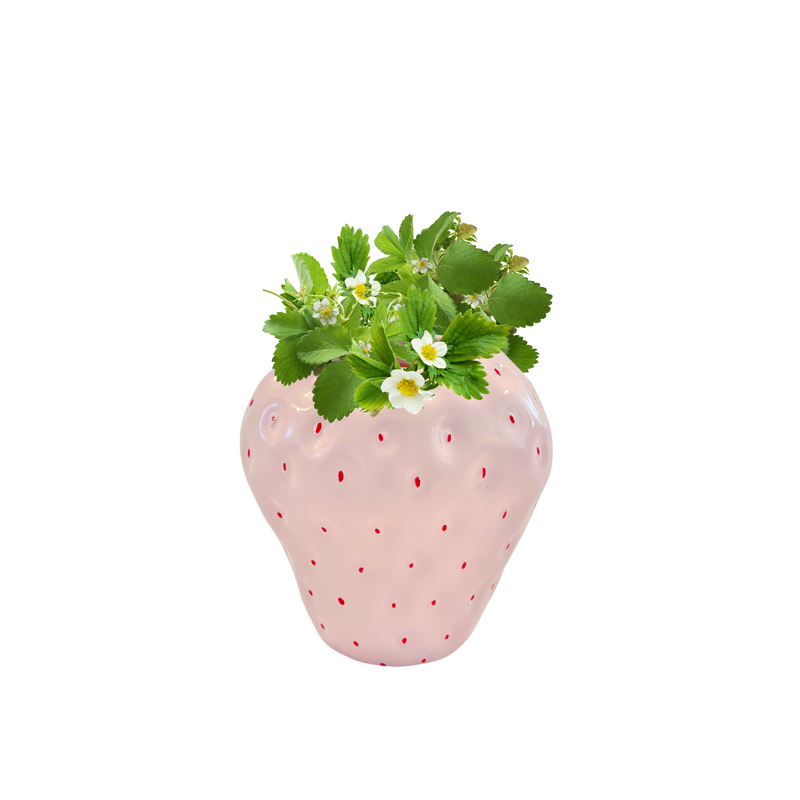 🍓 Pink Strawberry Vase (Small)